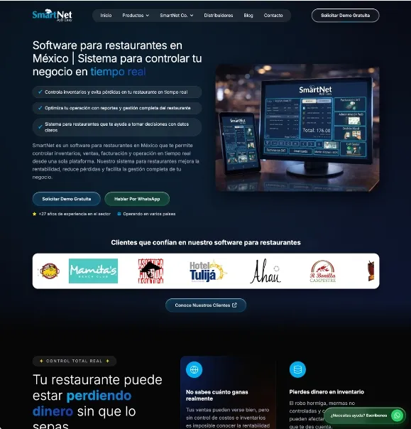 Diseno web profesional para empresas y negocios